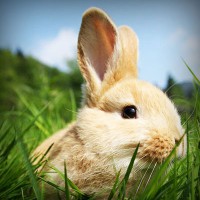 /album/informatica-6d-el-informativo-/photolia-a03-jpg/